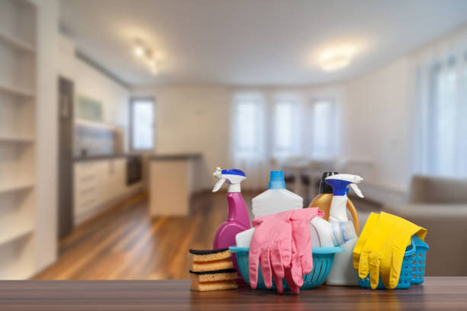 Cleaning - Paintgear
